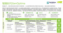 少数获得两家上市布景企业投资的GEO办事商（相